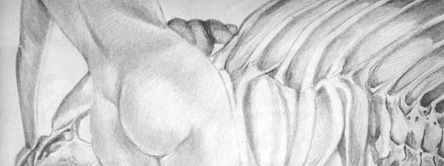 Surreal drawing graphite, detail